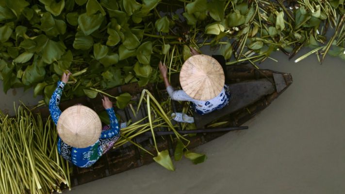 Let's learn about how Vietnamese artisans make beautiful and stylish woven baskets, poufs, rugs from water hyacinth - a local plant.