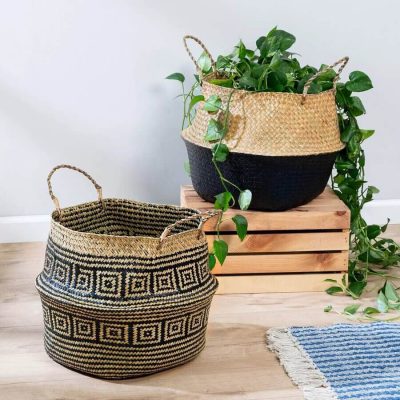 planter belly baskets for green tree