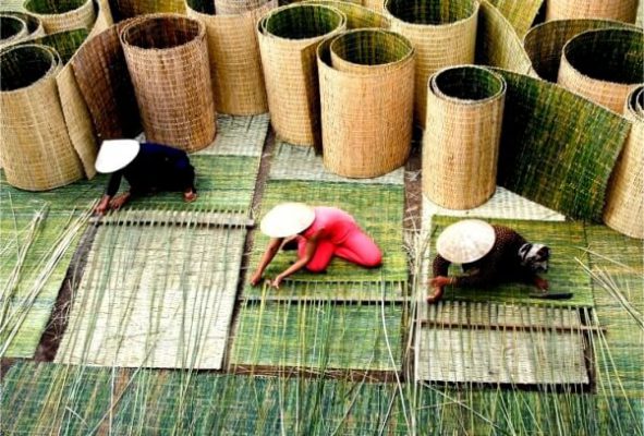 seagrass mat from Nga Son - Thanh Hoa province of Vietnam