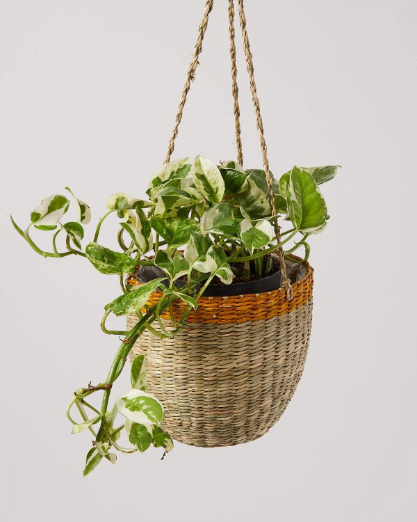 yellow stripe and natural seagrass hanging planter pot for indoor plants