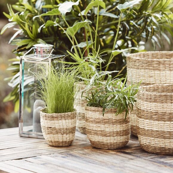 This seagrass plant pot is made of materials sourced from responsibly managed forests. A beautiful way to add greenery to your patio