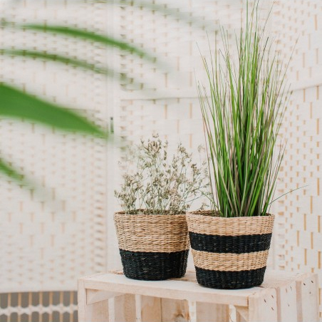 These two pretty Mini Black Seagrass Planters are made from natural seagrass and both are finished with a unique black stripe pattern.
