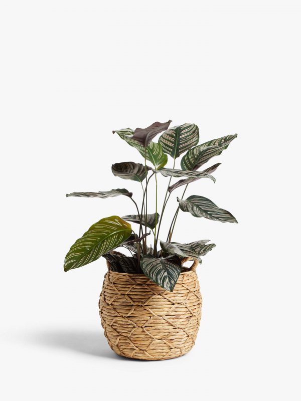 Patterned Weave Water Hyacinth Planter weave planter has a waterproof lining so it can be put directly into the plant.