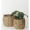 Wholesaler Round seagrass planter with small handles from Greenvbe ltd