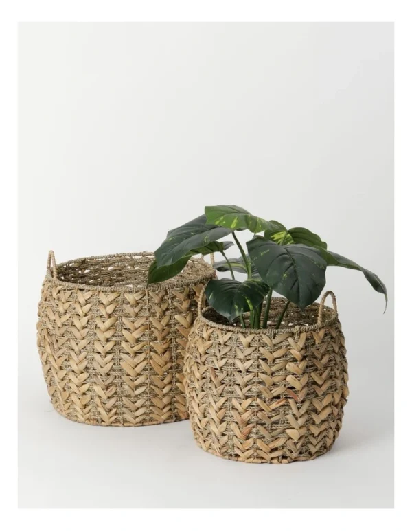 Wholesaler Round seagrass planter with small handles from Greenvbe ltd