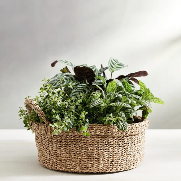 Round Seagrass Planter with handle