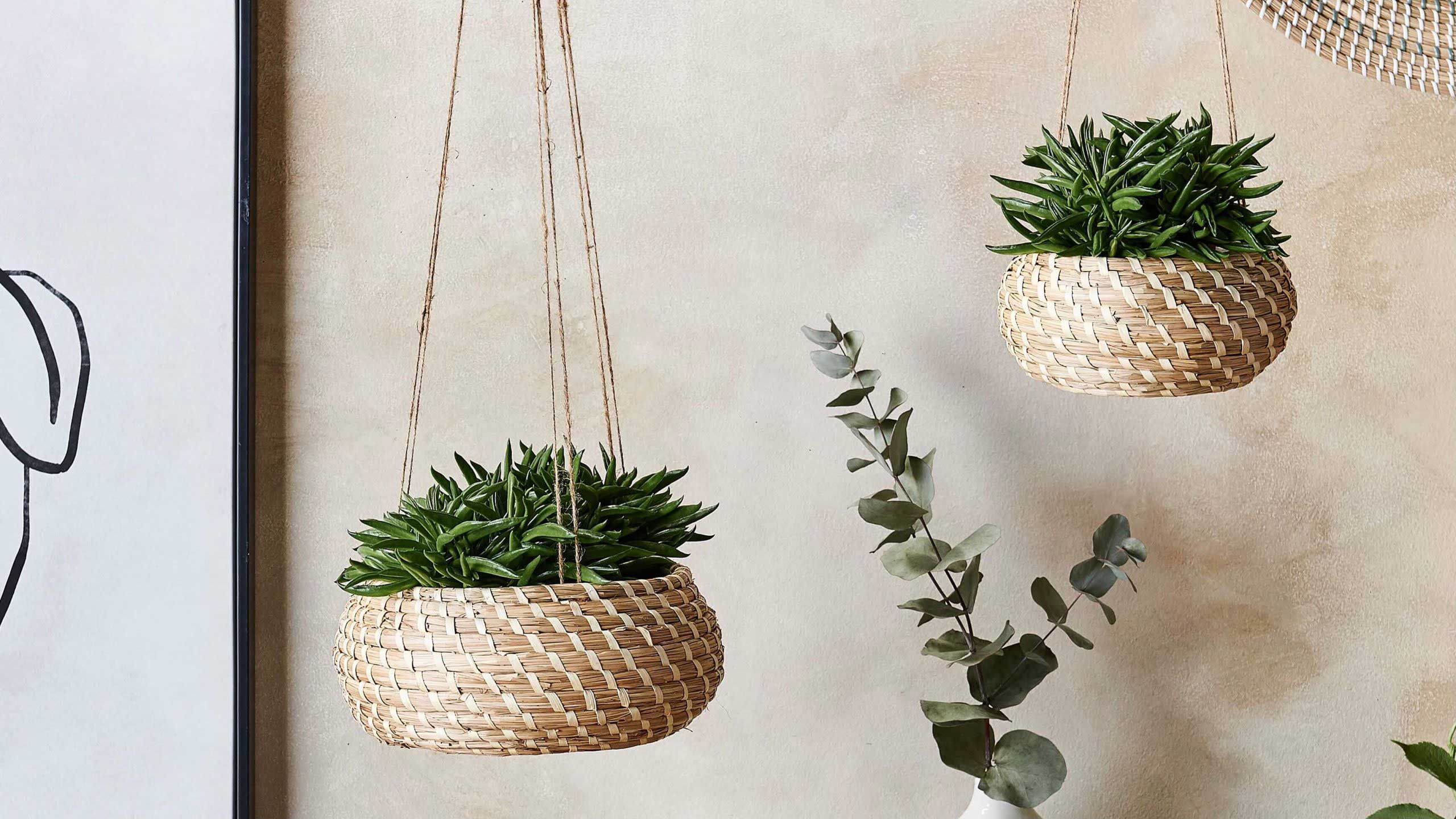 wholesale-wicker-planter-and-pots-from-Greenvibe---Thumbnail